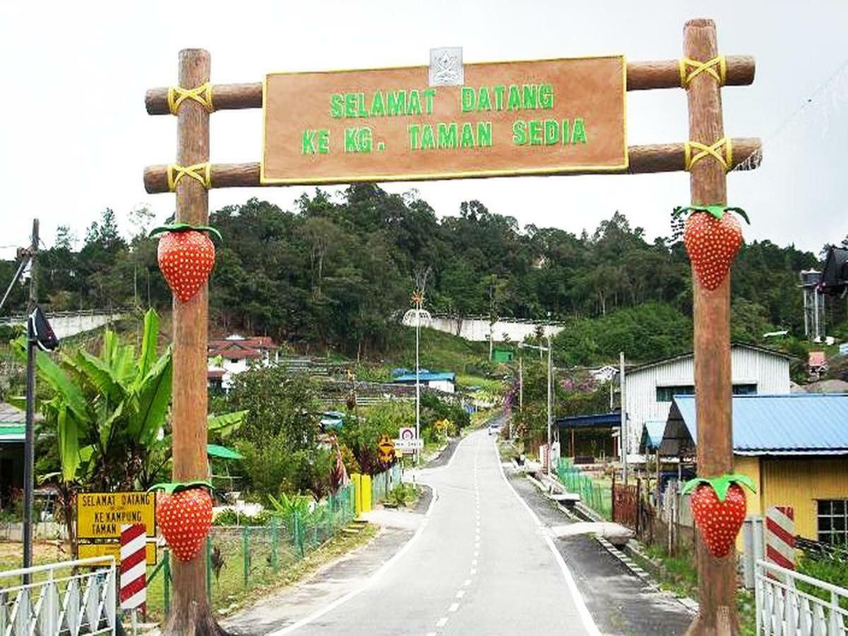 White Rose Cameron Highlands Exterior photo